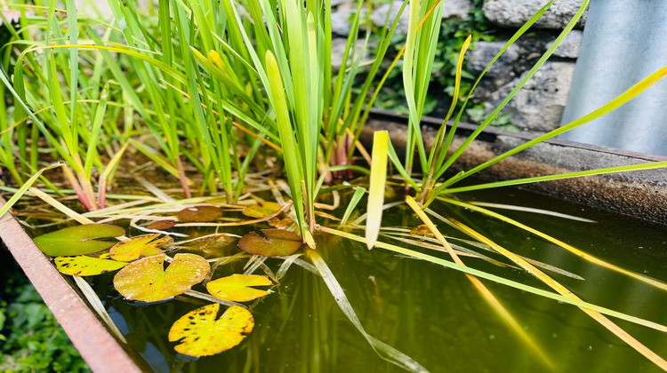 Ma-Cabane - Vente Maison Marigny-Marmande, 183 m²