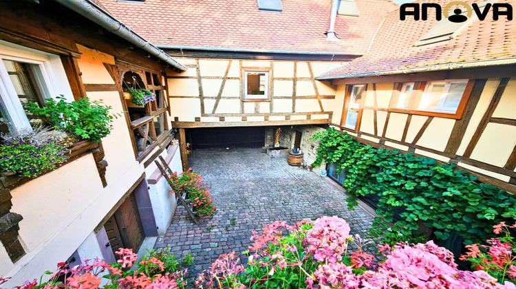 Ma-Cabane - Vente Maison Marlenheim, 335 m²