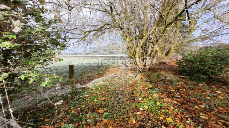 Ma-Cabane - Vente Maison Maroilles, 162 m²