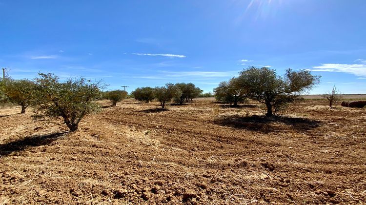 Ma-Cabane - Vente Maison MARSEILLAN, 152 m²