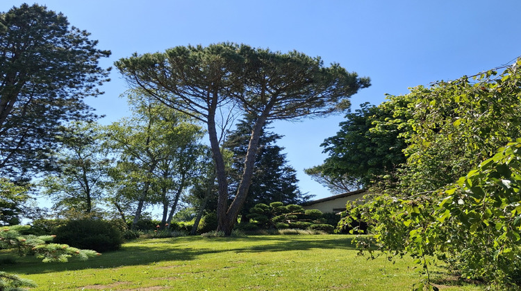 Ma-Cabane - Vente Maison Massignac, 196 m²