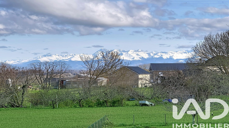 Ma-Cabane - Vente Maison Maucor, 252 m²