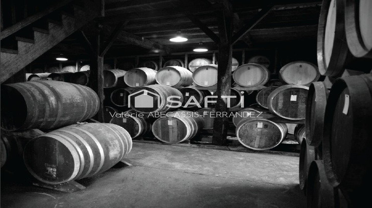 Ma-Cabane - Vente Maison Mauleon-d'Armagnac, 337 m²