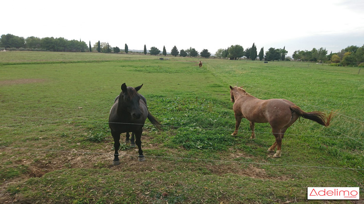 Ma-Cabane - Vente Maison Maussane-les-Alpilles, 300 m²