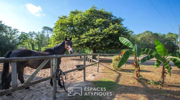 Ma-Cabane - Vente Maison MEES, 940 m²