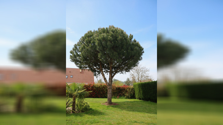 Ma-Cabane - Vente Maison MENESTREAU-EN-VILLETTE, 170 m²