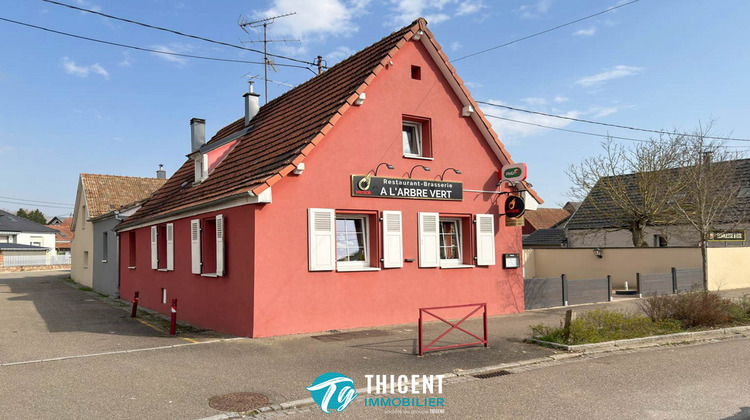 Ma-Cabane - Vente Maison Mertzwiller, 217 m²