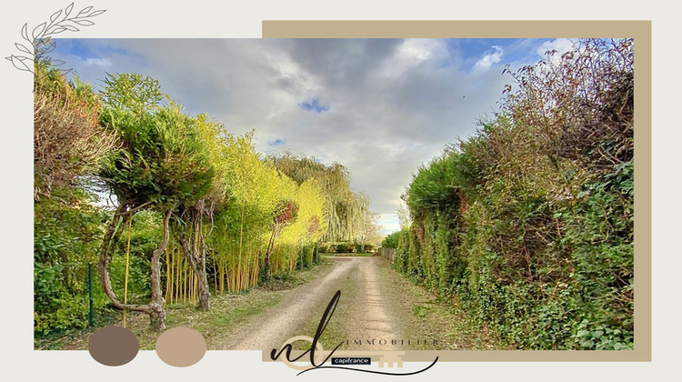 Ma-Cabane - Vente Maison MESSIMY SUR SAONE, 200 m²