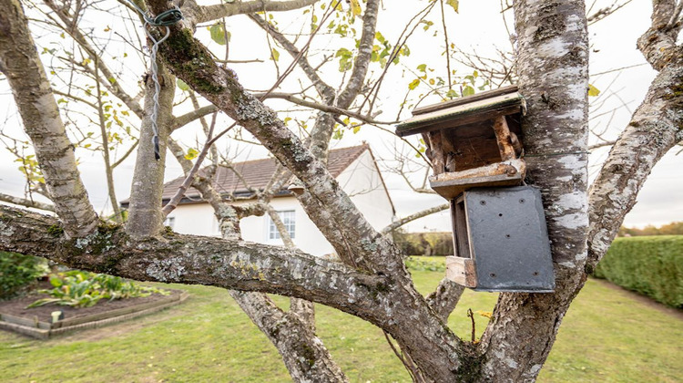 Ma-Cabane - Vente Maison MEUSNES, 96 m²