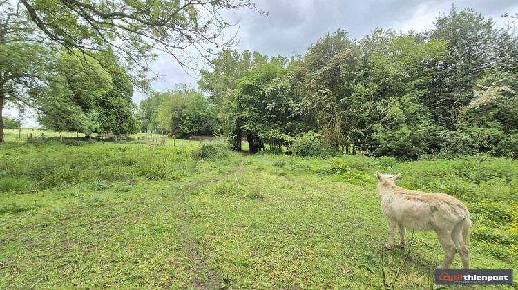 Ma-Cabane - Vente Maison Miannay, 150 m²