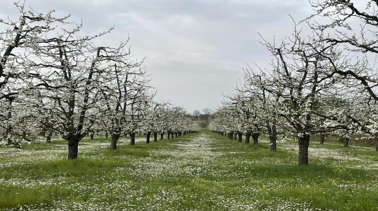 Ma-Cabane - Vente Maison MIRABEL, 60 m²