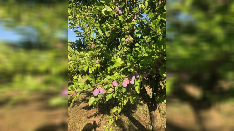 Ma-Cabane - Vente Maison MIRABEL, 60 m²