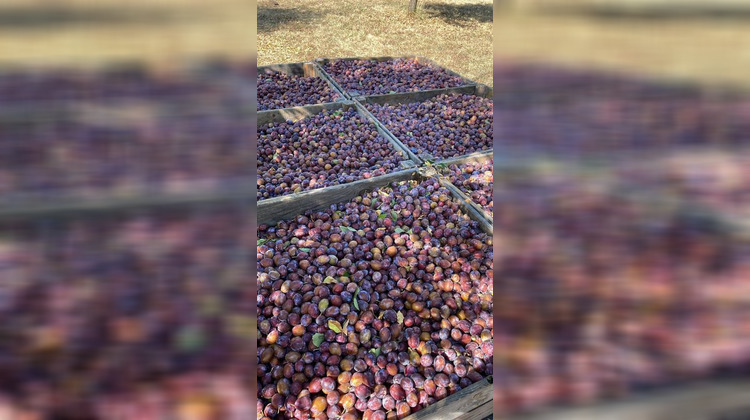 Ma-Cabane - Vente Maison MIRABEL, 60 m²