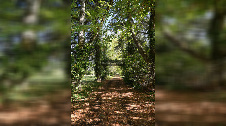 Ma-Cabane - Vente Maison Miramont-de-Guyenne, 360 m²