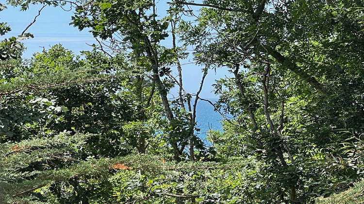 Ma-Cabane - Vente Maison MOELAN-SUR-MER, 102 m²