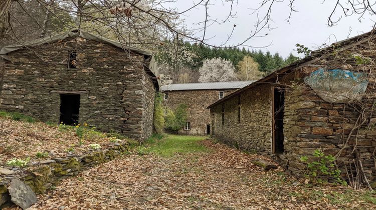 Ma-Cabane - Vente Maison Moissac-Vallée-Française, 453 m²