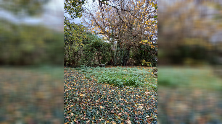 Ma-Cabane - Vente Maison Molinot, 154 m²