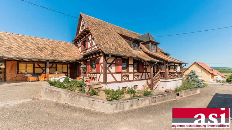 Ma-Cabane - Vente Maison Molsheim, 250 m²