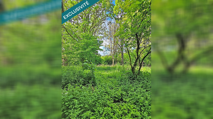 Ma-Cabane - Vente Maison Moncel-sur-Seille, 233 m²