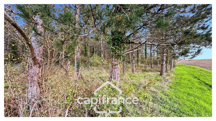 Ma-Cabane - Vente Maison MONFLANQUIN, 30 m²