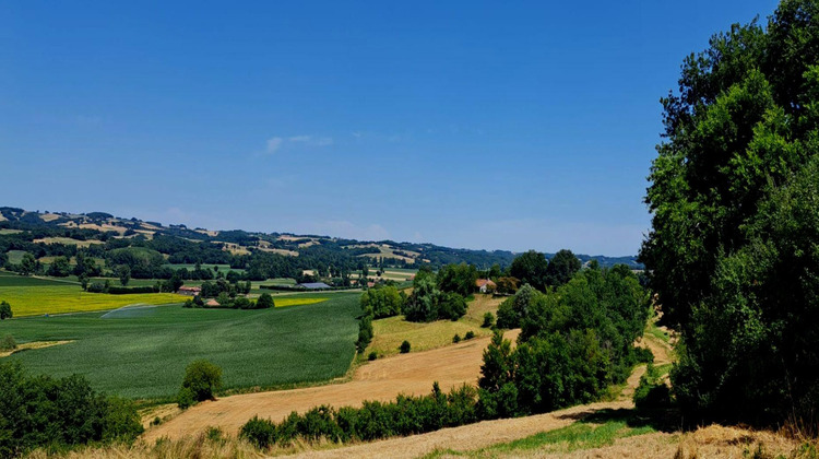 Ma-Cabane - Vente Maison Monlezun, 400 m²