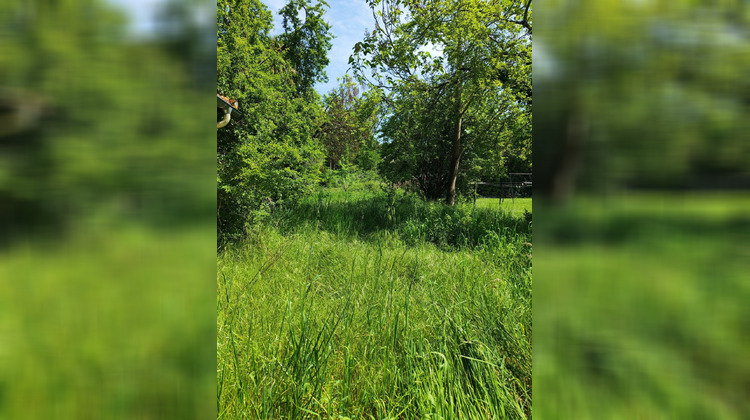 Ma-Cabane - Vente Maison Mont, 323 m²