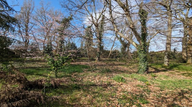 Ma-Cabane - Vente Maison MONT-DE-MARSAN, 311 m²