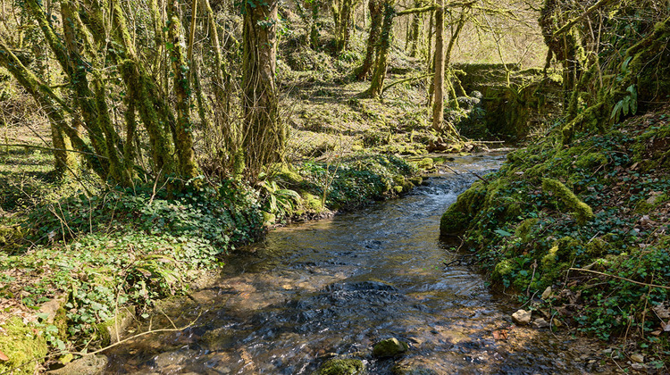 Ma-Cabane - Vente Maison MONTAGNA-LE-RECONDUIT, 540 m²