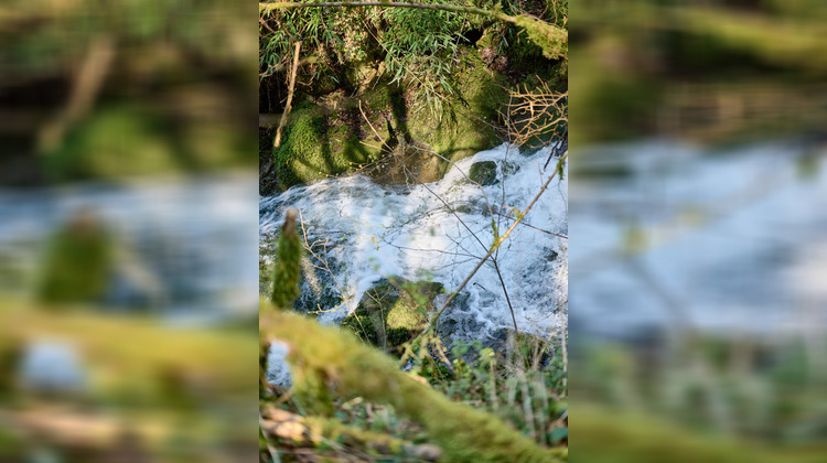 Ma-Cabane - Vente Maison MONTAGNA-LE-RECONDUIT, 540 m²