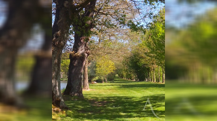 Ma-Cabane - Vente Maison MONTAIGU, 241 m²