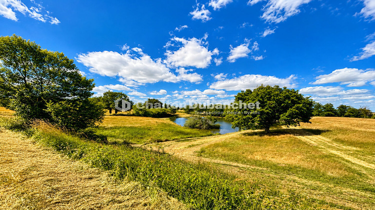Ma-Cabane - Vente Maison MONTAIGUET-EN-FOREZ, 330 m²