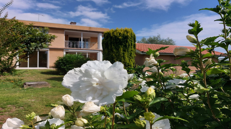 Ma-Cabane - Vente Maison MONTAUBAN, 266 m²