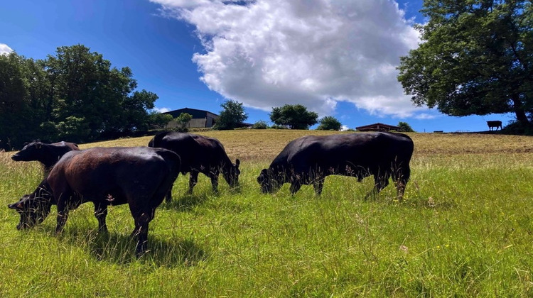 Ma-Cabane - Vente Maison MONTAUBAN, 100 m²
