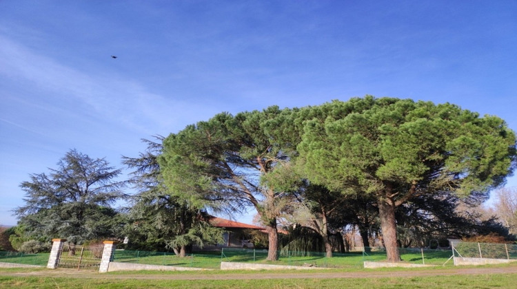 Ma-Cabane - Vente Maison Montauban, 228 m²