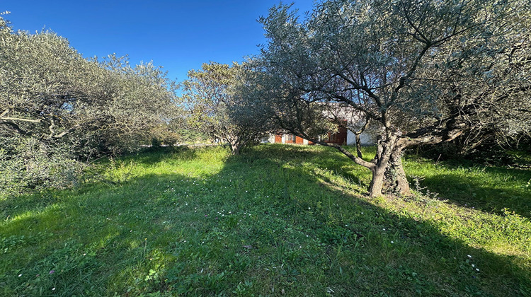 Ma-Cabane - Vente Maison MONTAUROUX, 480 m²