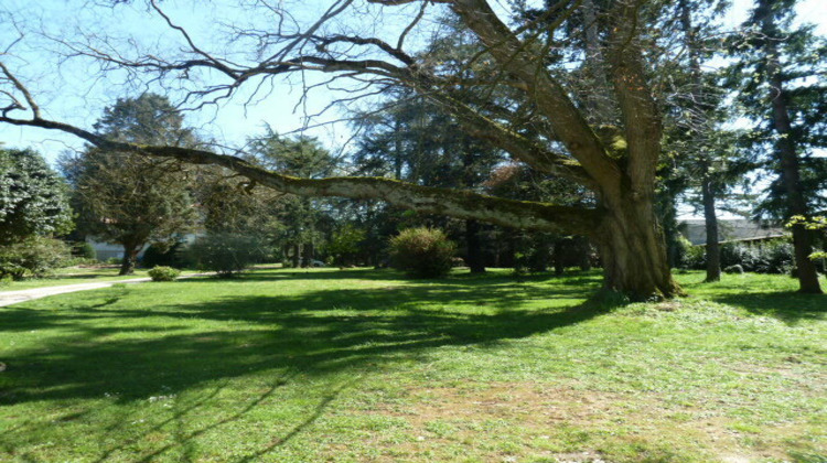 Ma-Cabane - Vente Maison Montayral, 250 m²