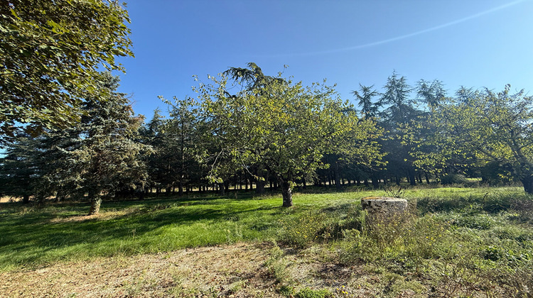 Ma-Cabane - Vente Maison MONTAYRAL, 210 m²