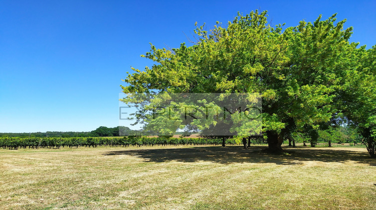 Ma-Cabane - Vente Maison Montazeau, 148 m²