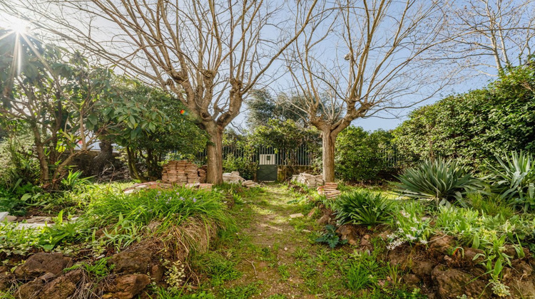 Ma-Cabane - Vente Maison MONTBLANC, 325 m²