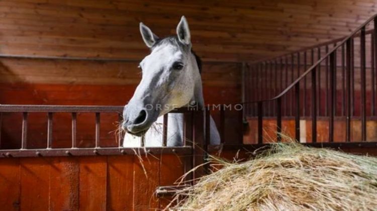 Ma-Cabane - Vente Maison Montélimar, 131 m²