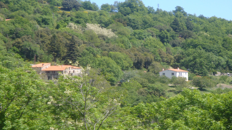 Ma-Cabane - Vente Maison Montferrer, 230 m²