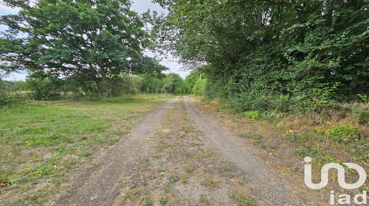 Ma-Cabane - Vente Maison Montfort-le-Gesnois, 110 m²