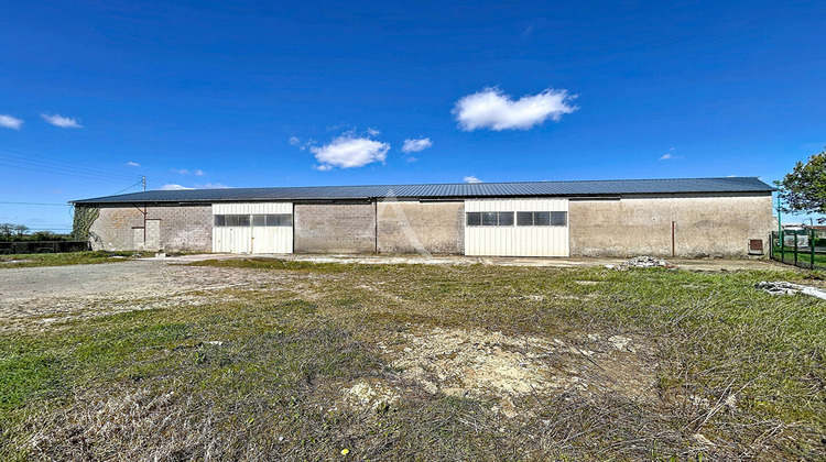 Ma-Cabane - Vente Maison MONTILLIERS, 650 m²