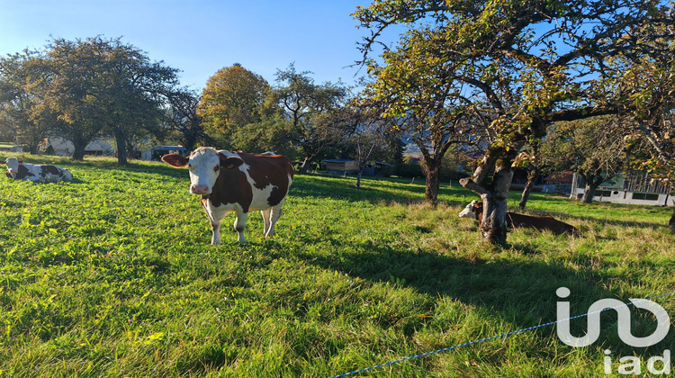 Ma-Cabane - Vente Maison Montlebon, 180 m²