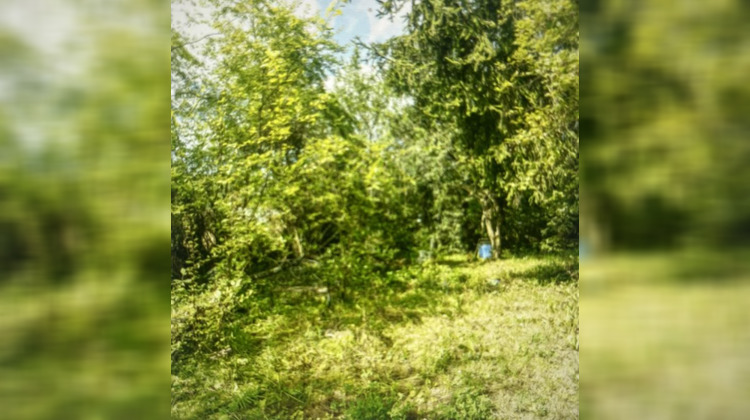 Ma-Cabane - Vente Maison MONTMEDY, 300 m²