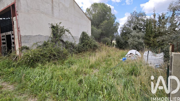 Ma-Cabane - Vente Maison Montner, 140 m²