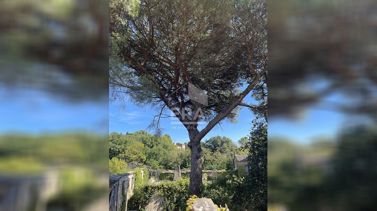 Ma-Cabane - Vente Maison MONTOLIEU, 900 m²