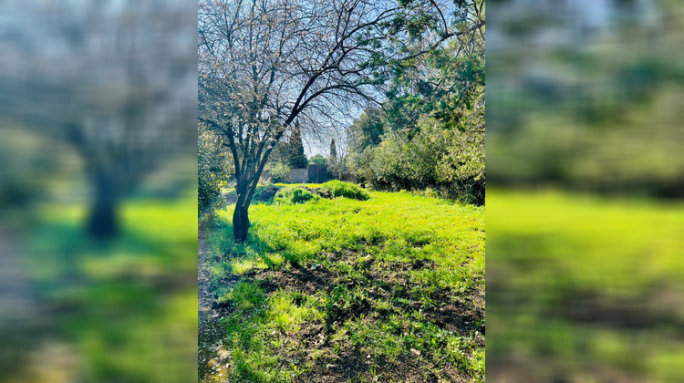 Ma-Cabane - Vente Maison MONTPELLIER, 240 m²