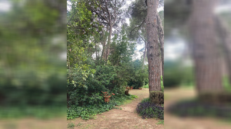 Ma-Cabane - Vente Maison MONTPELLIER, 260 m²