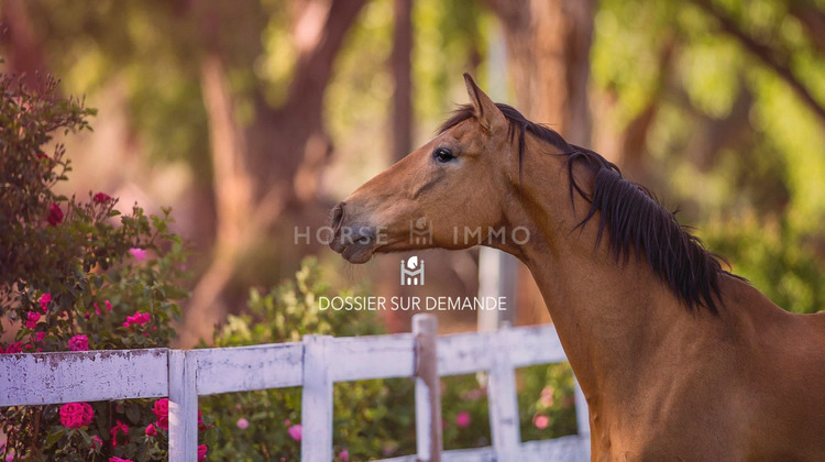 Ma-Cabane - Vente Maison Montpellier, 300 m²